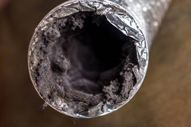 Best HVAC Duct Inspection Services  in Three Oaks, MI