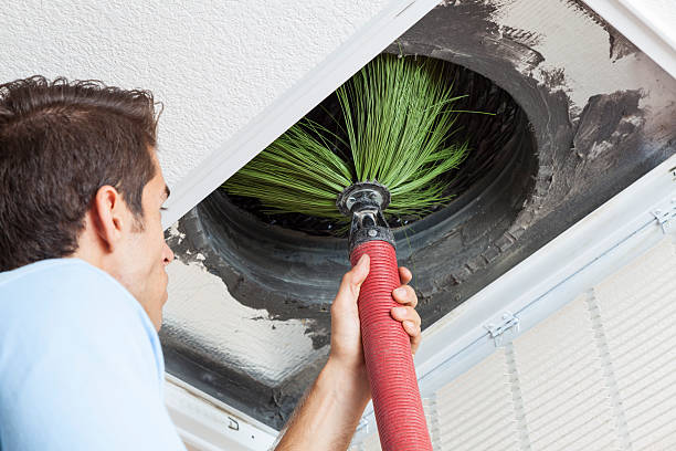 Best Affordable HVAC Duct Cleaning  in Three Oaks, MI