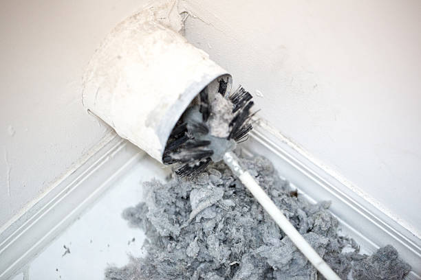 Best Duct Cleaning for Offices  in Three Oaks, MI