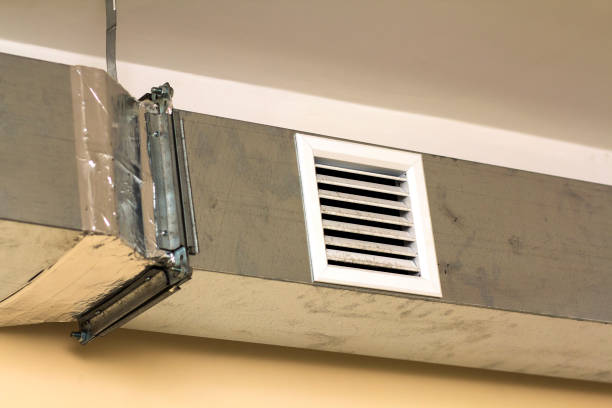 Best HVAC Duct Inspection Services  in Three Oaks, MI